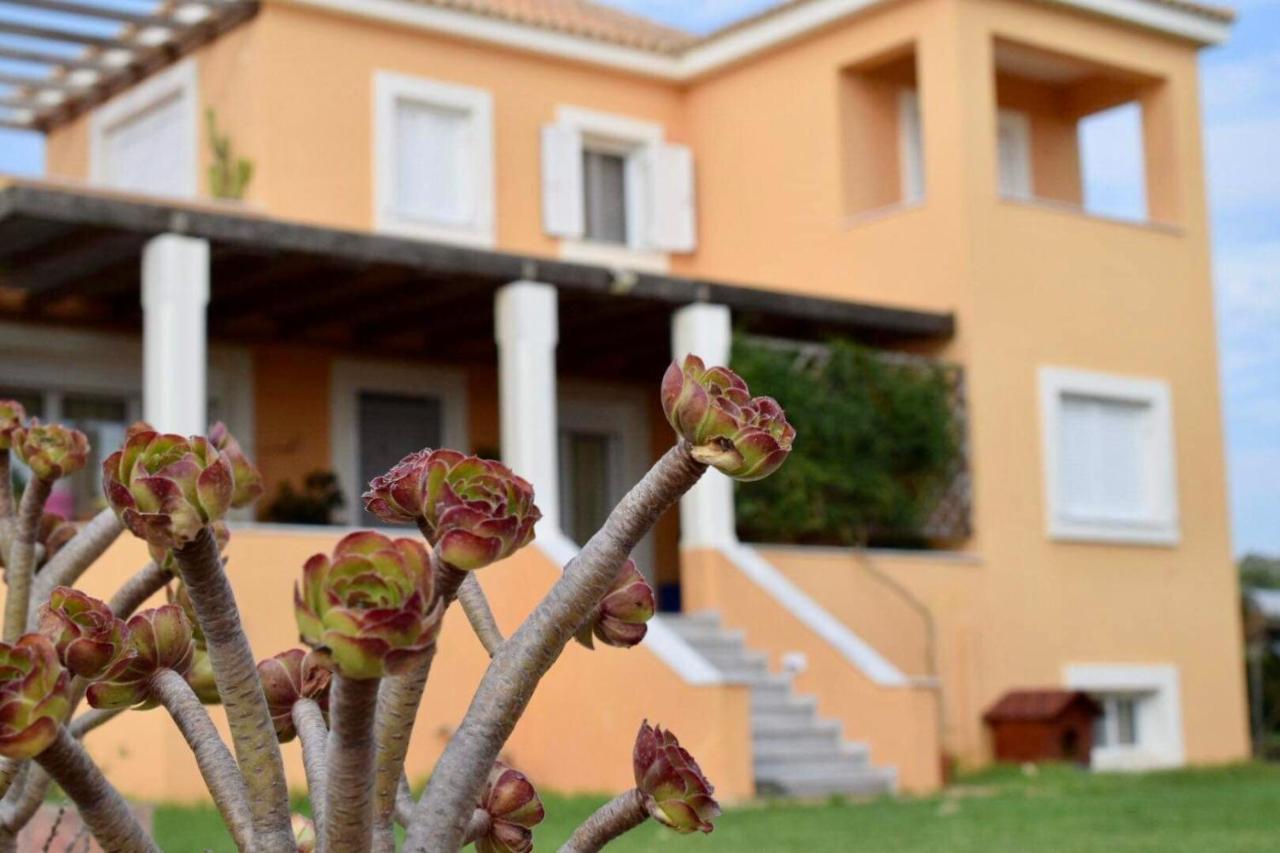 Boutique Hotel Ileas Village Arkoudi Exterior photo